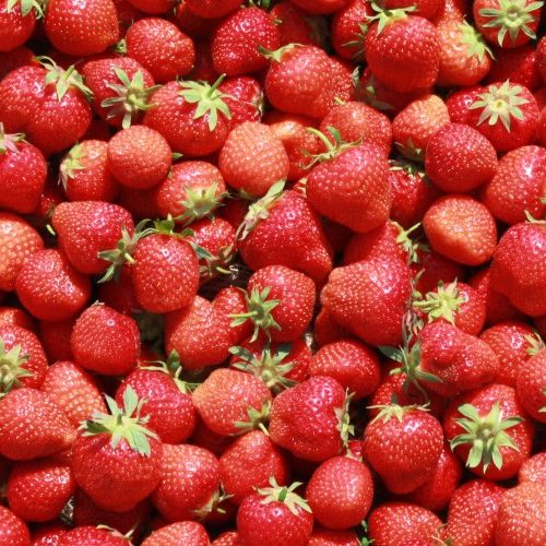 Erdbeeren