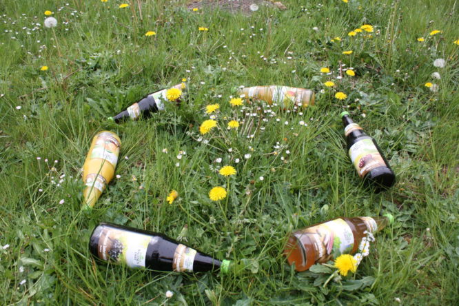 Closed Loop Aus Umweltbewusstsein – Closed Loop