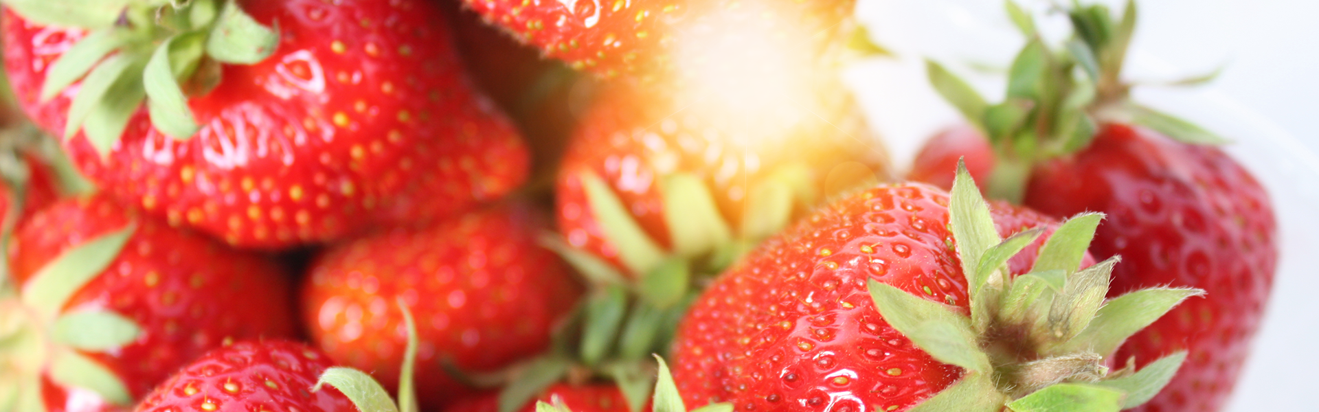 Banner_Erdbeere
