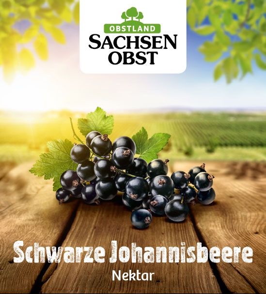 Schwarze Johannisbeere