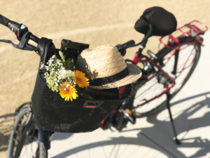 Fahrradtour auf der neuen Obstlandroute