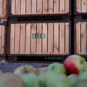 Bio_Kiste Bio_Kiste