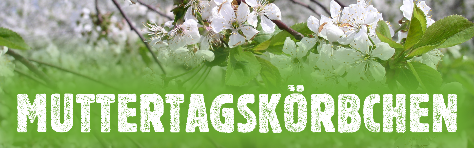 header_Muttertag