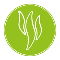 Button Aroma Limetti Button Aroma Limetti